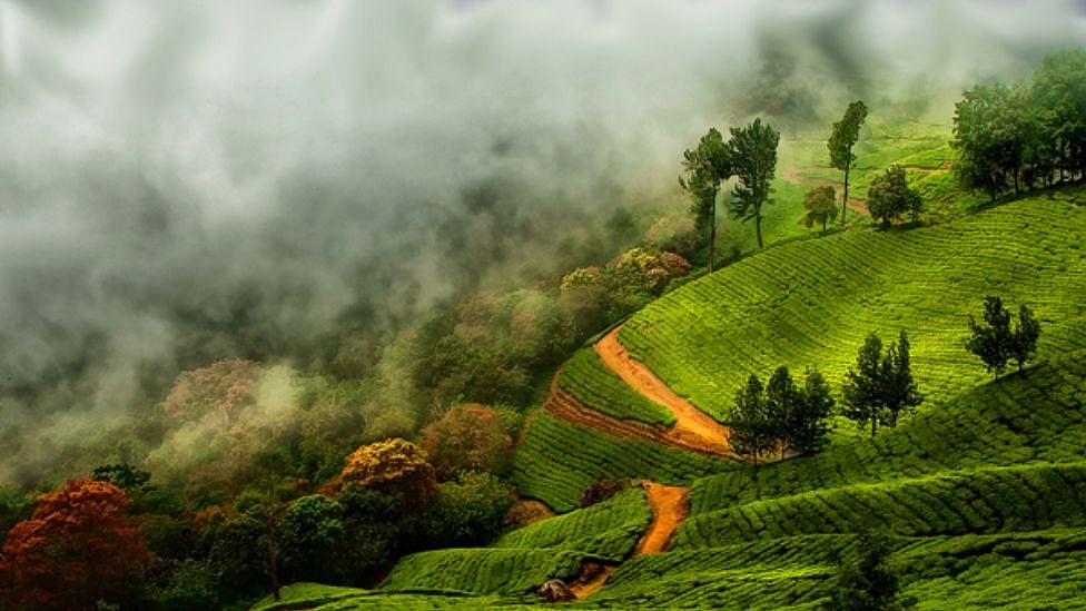 காந்தளூர்: தமிழ்நாட்டுக்கு அருகில் ஒரு மினி காஷ்மீர் - அப்படி என்ன ஸ்பெஷல்? |Video