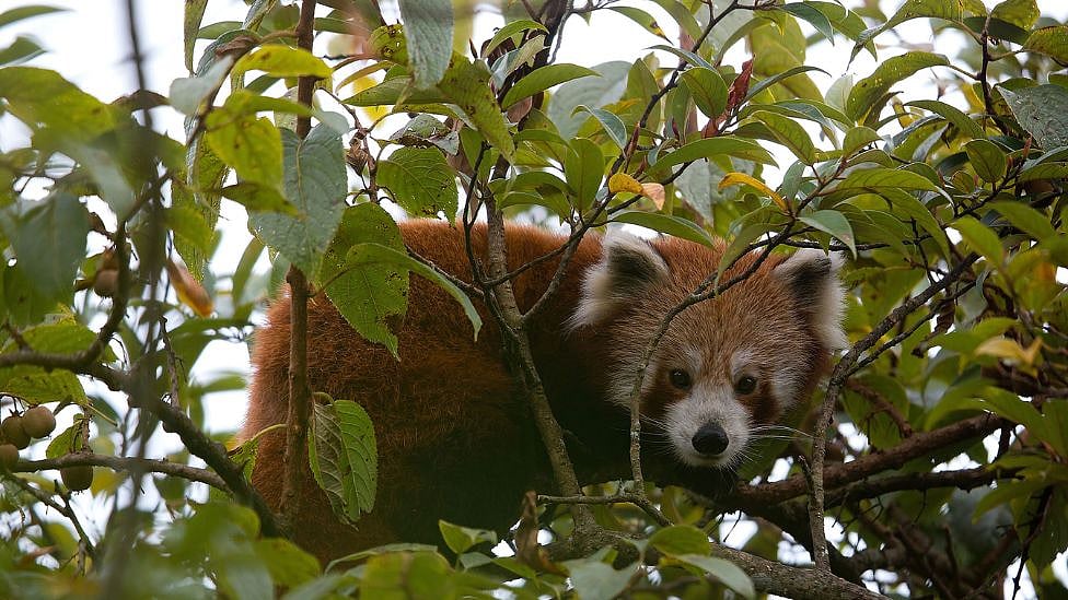 கூக்கல் நீர்வீழ்ச்சி முதல் அம்போலி வரை - இந்தியாவில் டிரெக்கிங் செல்ல 5 சிறந்த ஸ்பாட்ஸ்!