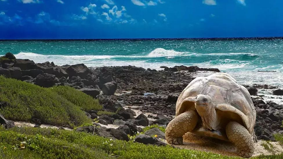 யுனெஸ்கோவின் பட்டியலில் இடம்பிடித்த உலகின் முதல் பாரம்பரிய தலம் எது தெரியுமா?