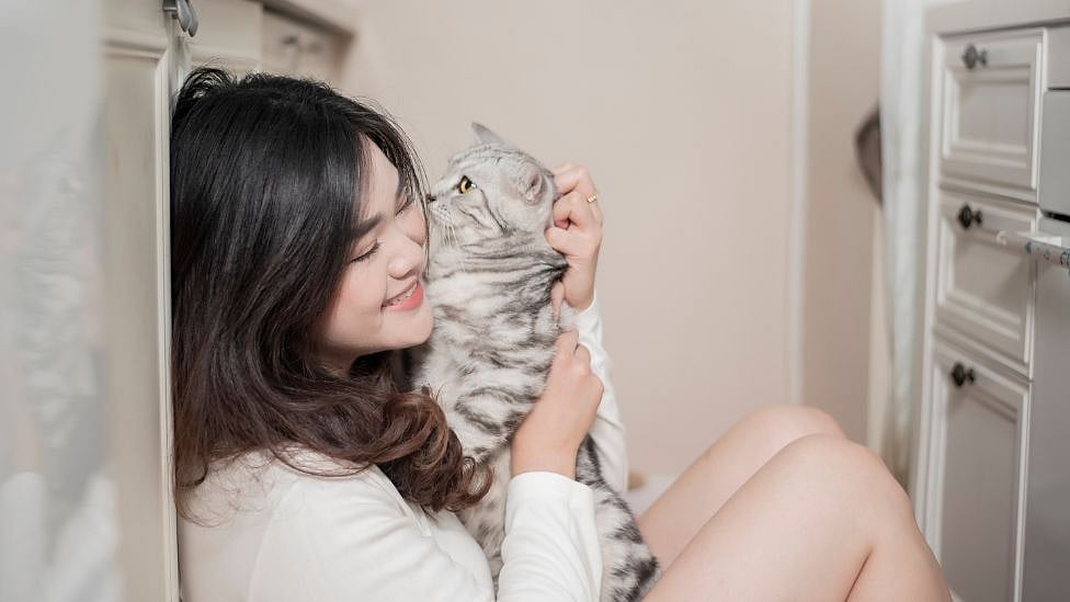 பூனை பிரியர்கள் எப்படி எல்லாம் இருப்பார்கள் தெரியுமா? ஆய்வு சொல்லும் 10 சுவாரஸ்யங்கள்