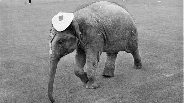 தி ஓவல் ஸ்டேடியத்தில் யானை: இங்கிலாந்தில் இந்தியாவின் முதல் வெற்றி - புல்லரிக்கும் வரலாறு!