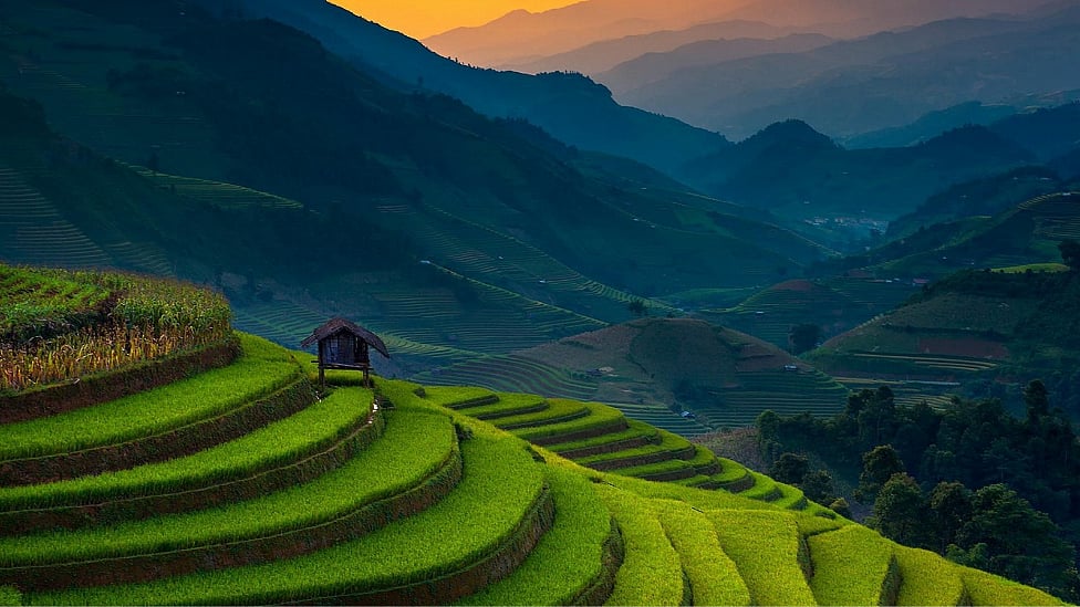 வெள்ளை டீ முதல் இராணி சாய் வரை : இந்தியாவில் இருக்கும் 18 தேநீர் வகைகள் பற்றி தெரியுமா?