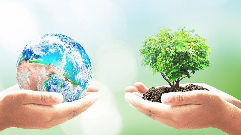 வரலாற்றில் இன்று : உலக சுற்றுச்சூழல் தினம் - இந்த நாளில் என்ன நடந்தது?