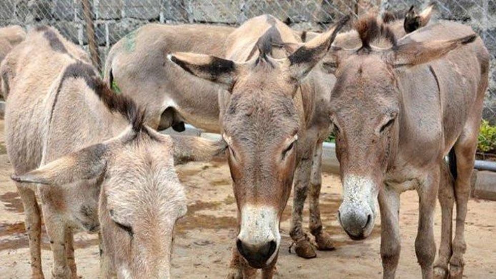 newssensetn%2F2023-06%2Fc24e5115-6f51-4180-a50c-0aa279e9314e%2Fhero_image__31_.jpg?auto=format%2Ccompress&format=webp&dpr=1.0&q=70&w=768