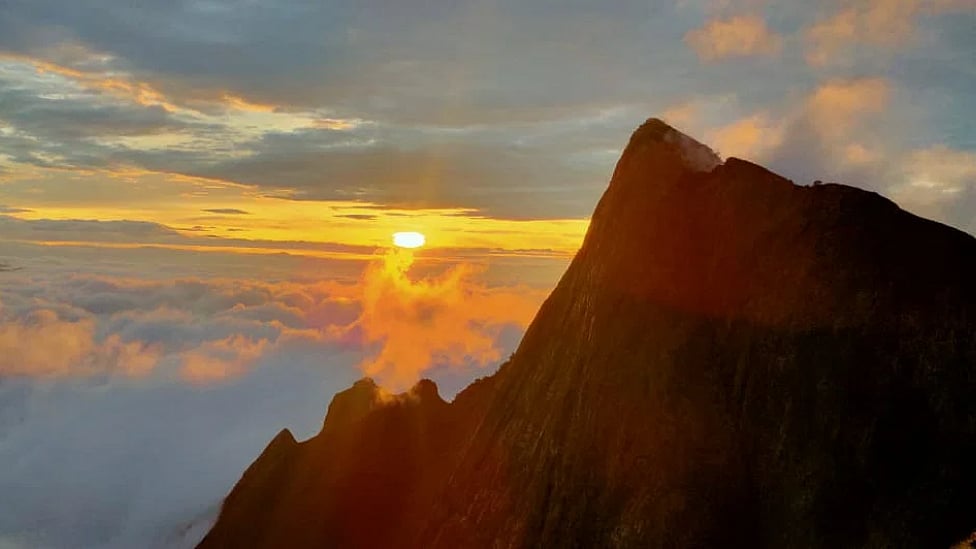 கொலுக்குமலை: இன்ஸ்டா ரீல்ஸில் வரும் இந்த ஸ்பாட் உண்மையாகவே வொர்த்தா?