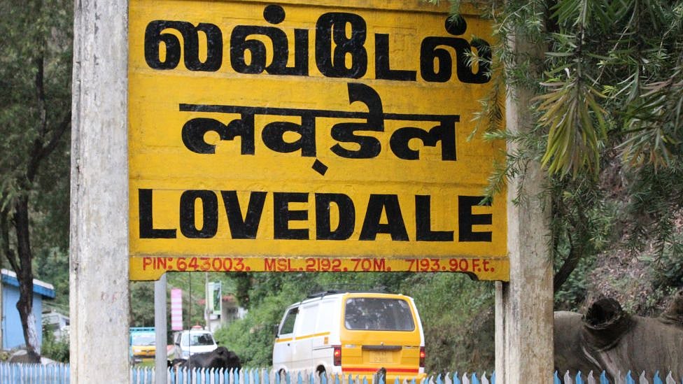 Lovedale: ஊட்டியில் மறைந்திருக்கும் இந்த சிறிய நகரம் - குடும்பத்துடன்  ட்ரிப் செல்ல தயாரா?