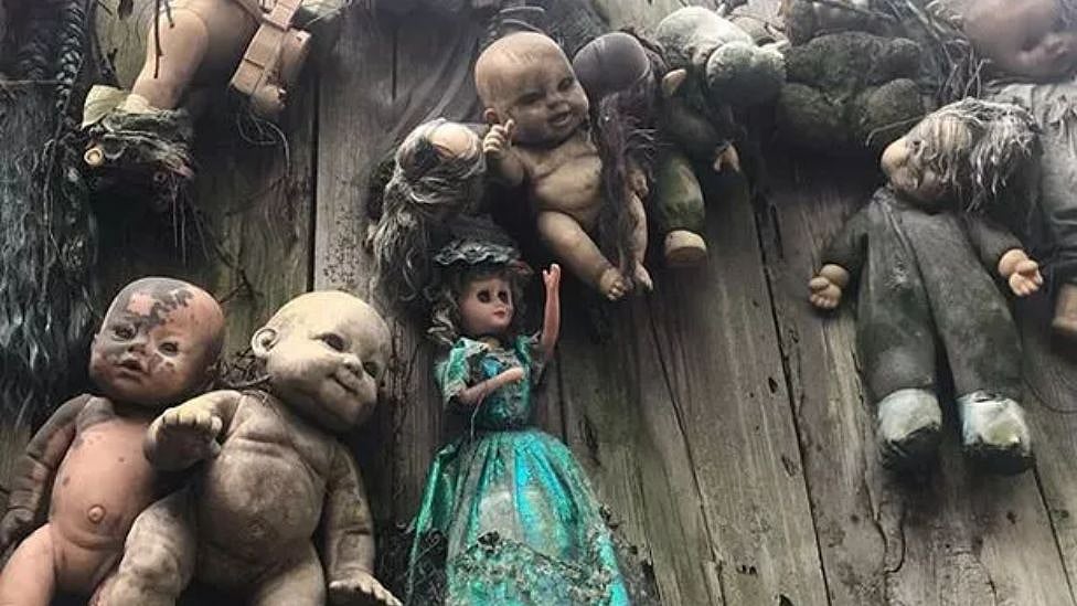 அந்தரத்தில் தொங்கும் 1500 பொம்மைகள் - ஆளில்லா தீவின் திகில் பின்னணி என்ன?