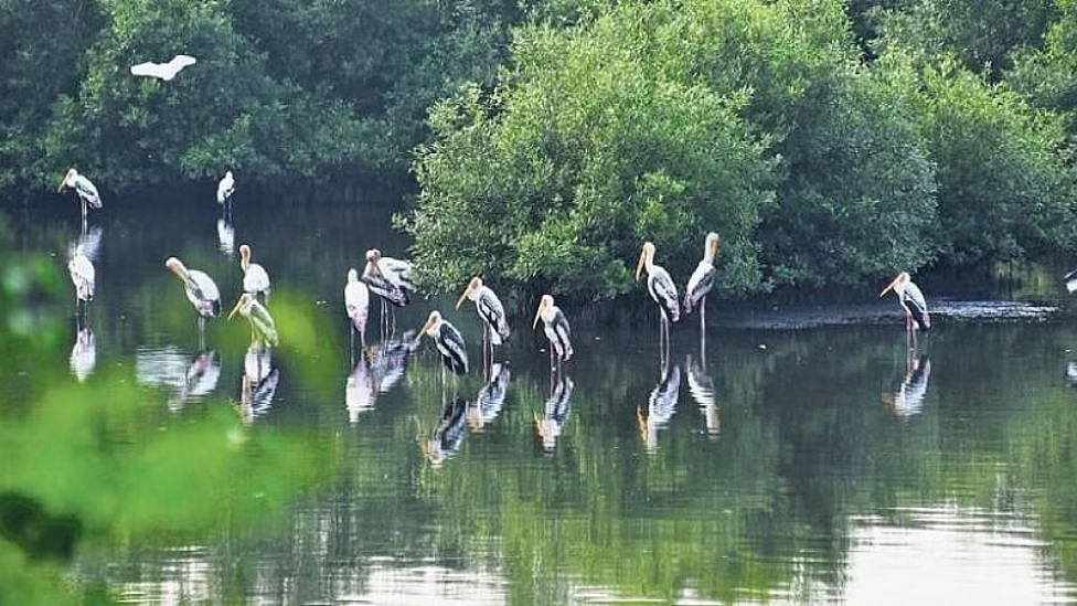 சென்னையில் இப்படி ஒரு டூரிஸ்ட் place இருக்கா? குடும்பத்தோடு செல்ல சூப்பர் weekend spot!