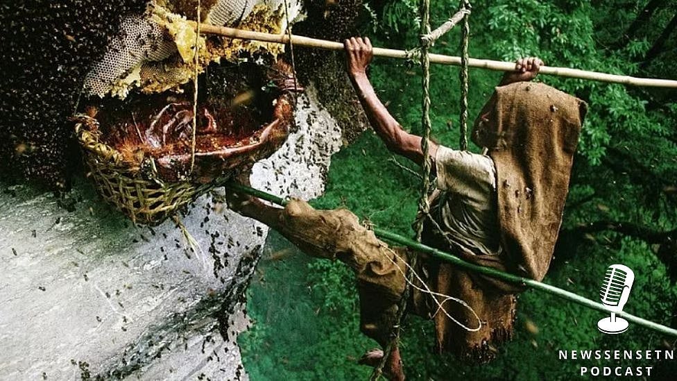 மனித உயிரை காவு வாங்கும் அரிய வகை தேன் |Podcast