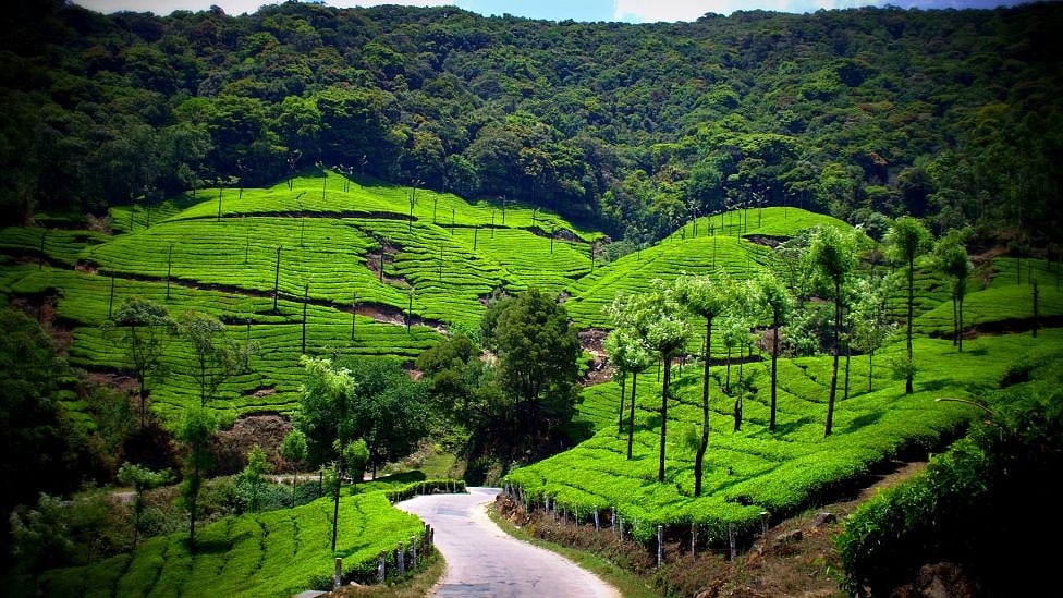 Devala: ஊட்டிக்கு அருகில் மறைந்திருக்கும் இந்த தென்னிந்தியாவின் சிராபுஞ்சி பற்றி தெரியுமா?