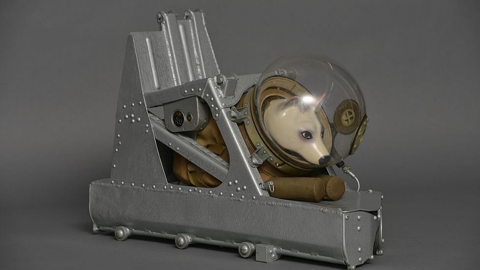 என்னது Spaceக்கு மீன் அனுப்பப்பட்டதா? மனிதனுக்கு முன் விண்வெளிக்கு சென்ற விலங்குகள்!