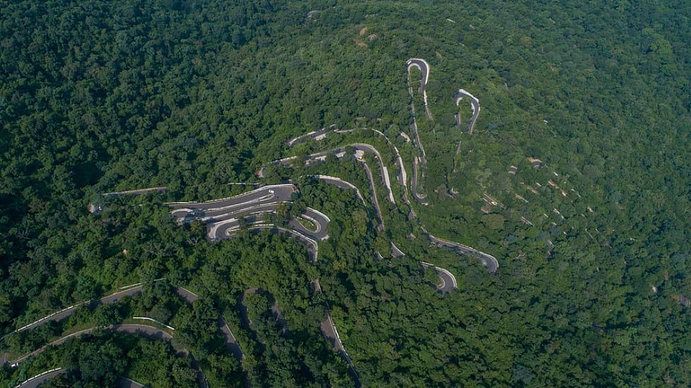 கொல்லிமலை: ஆகாயகங்கை முதல் சித்தர் குகைகள் வரை - த்ரில் பயணம் செல்ல தயாரா?