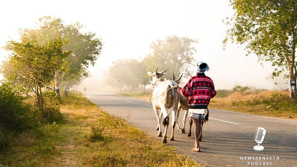 மகாராஷ்டிராவில் வாழும் கர்நாடகா மக்கள் - இந்தியாவின் விசித்திர கிராமம் | podcast