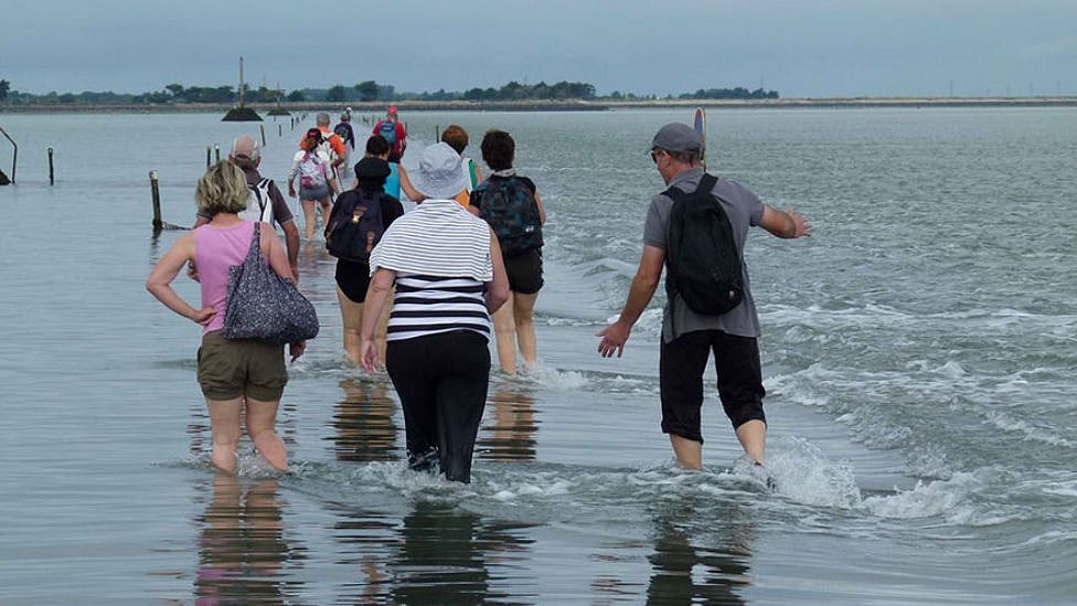 Wow Facts : தினமும் 2 முறை நீருக்கடியில் மறையும் சாலை - எங்கே நிகழ்கிறது இந்த அதிசயம்?