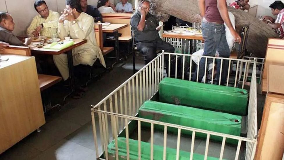 குஜராத்: கல்லறையா? டீ கடையா? சுடுகாட்டை உணவகமாக மாற்றிய நபர்! திகிலான அனுபவத்துக்கு தயாரா?