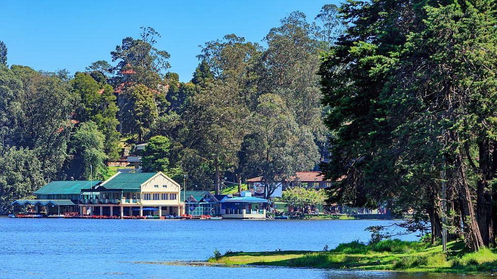 மதுரை To கொடைக்கானல்: உள்ளூர் மக்களை கவர ஒரு நாள் சுற்றுலா - எந்தெந்த இடங்கள் பார்க்கலாம்?