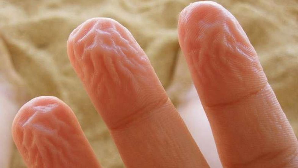 தண்ணீரில் நீண்ட நேரம் இருந்தால் ஏன் விரல்களில் சுருக்கம் ஏற்படுகிறது தெரியுமா?