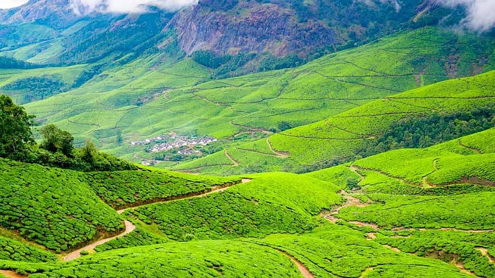 ஊட்டியை மிஞ்சிய 'உல்லாடா' - நீலகிரியில் இப்படி ஒரு இடமா? குடும்பமாக செல்ல சூப்பர் ஸ்பாட்!