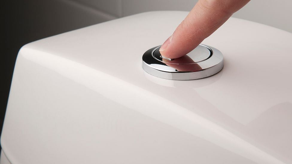 newssensetn%2F2023-10%2F815ef615-88f4-4c