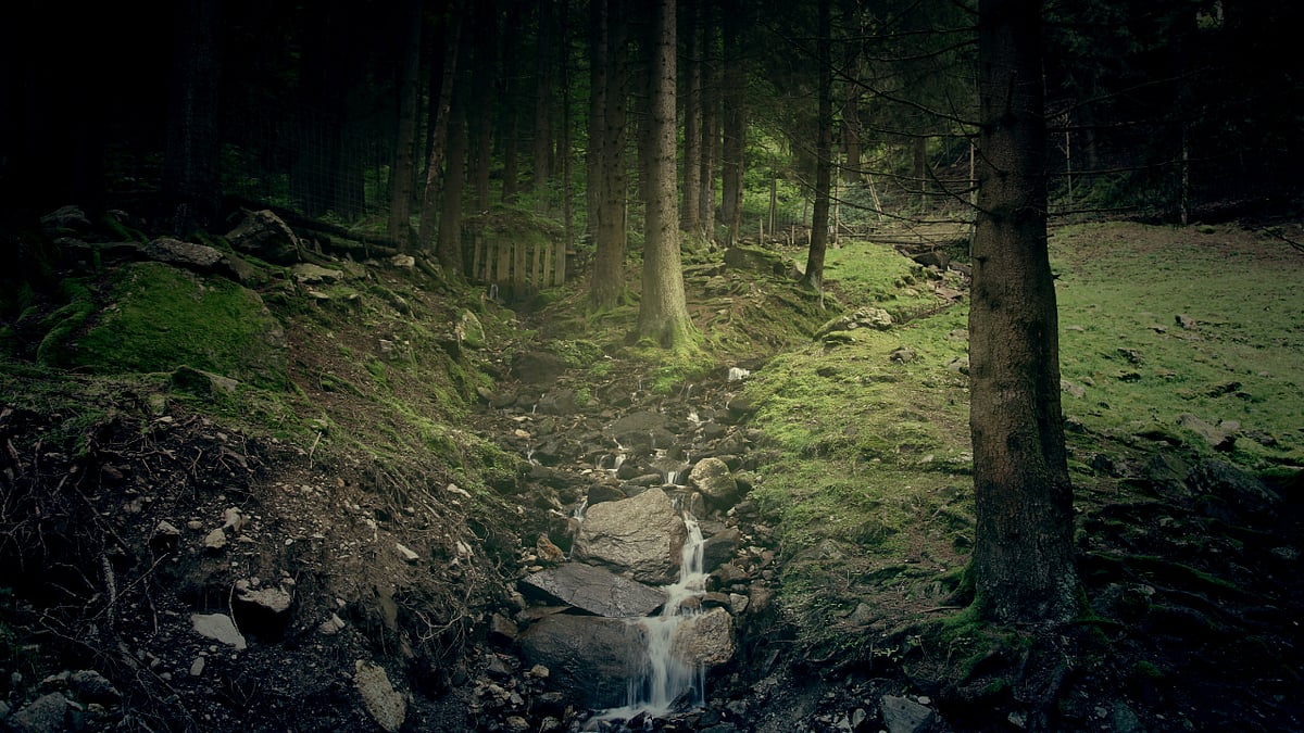 ஷ்...சத்தம் போடாதீங்க! உலகின் மிகவும் அமைதியான இடங்கள் இவை தான்