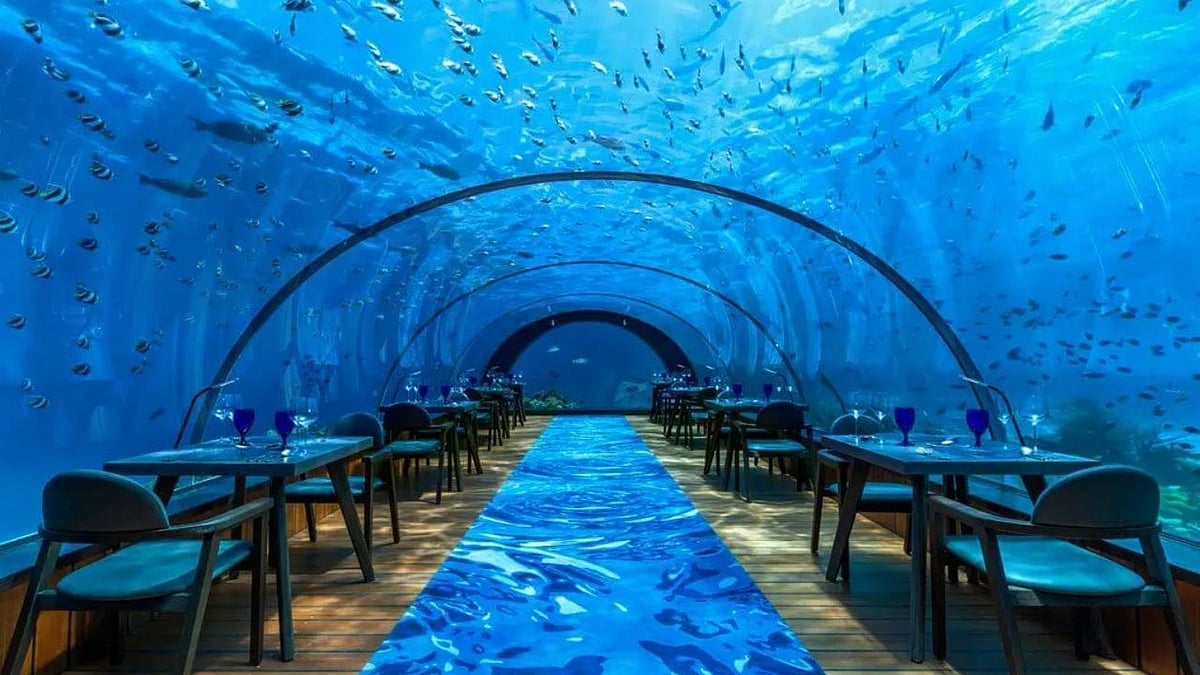 மாலத்தீவு : கடல் மட்டத்திற்கு கீழே இருக்கும் இந்த நீருக்கடி உணவகங்கள் பற்றி தெரியுமா?