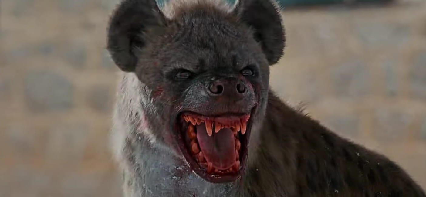 Interesting facts about hyenas