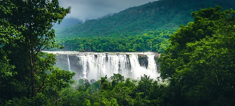 The ecosystem of Athirappilly is unique in its biodiversity