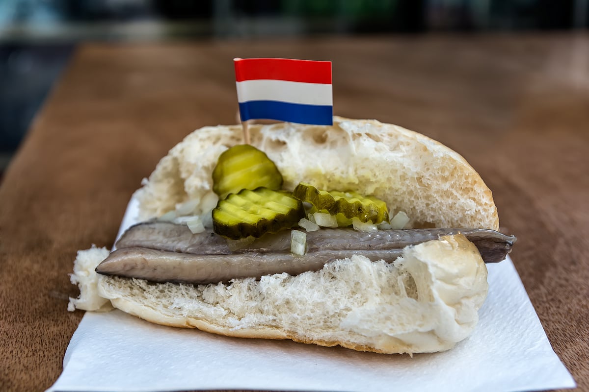 Dutch Herring Sandwich Recipe Bryont Blog
