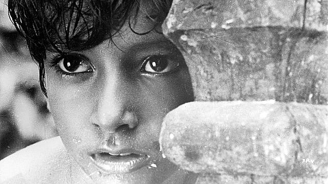 G20 Film Festival Unveils A Spectacular Lineup Of Global Cinema