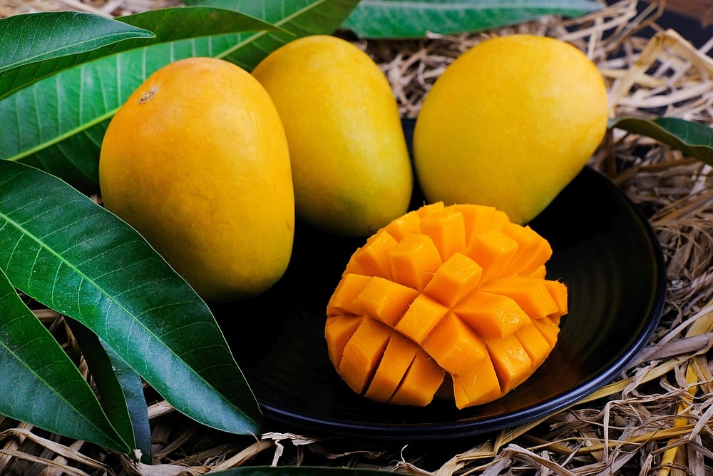 10 Indian Mangoes With GI Tags