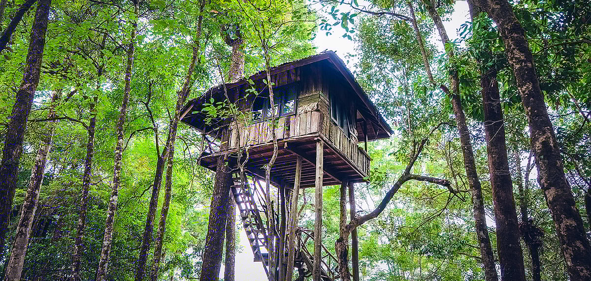 Best Tree House stays around India