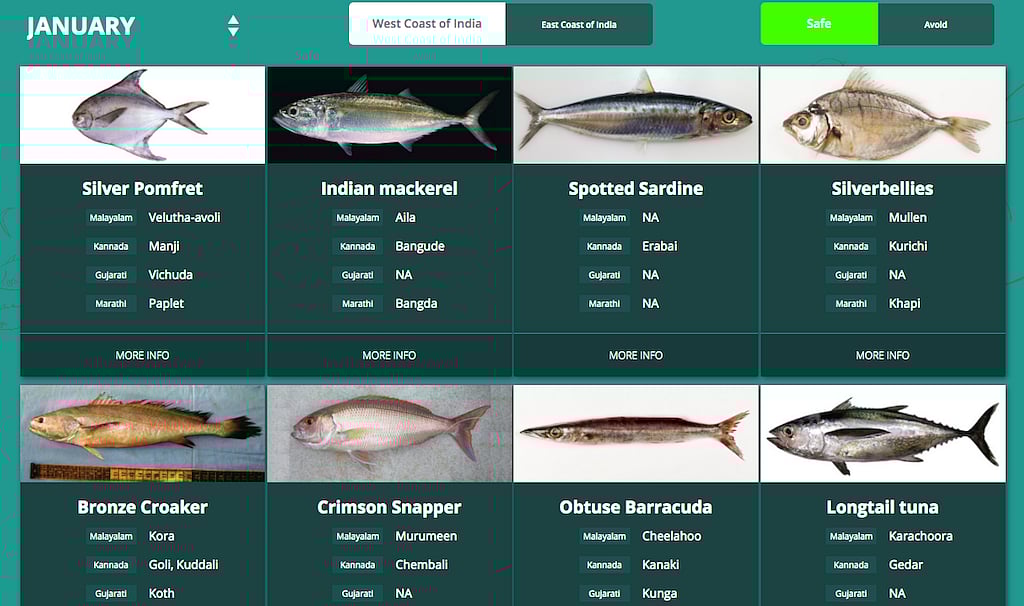 Indian Fish Names With Pictures
