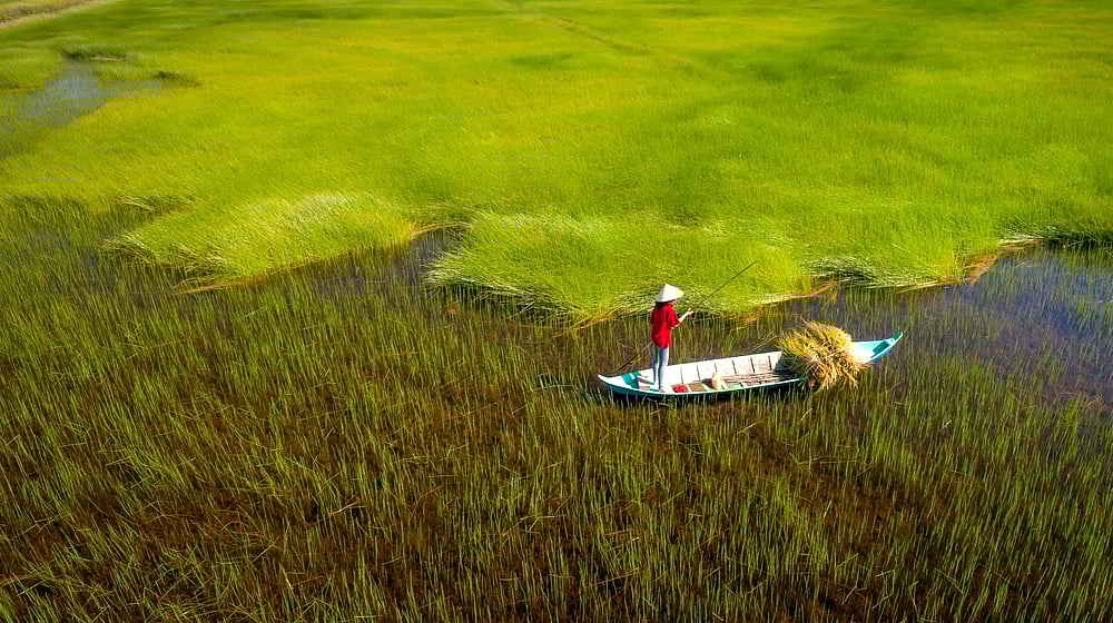 The Grass Weaving Craft Of Vietnam
