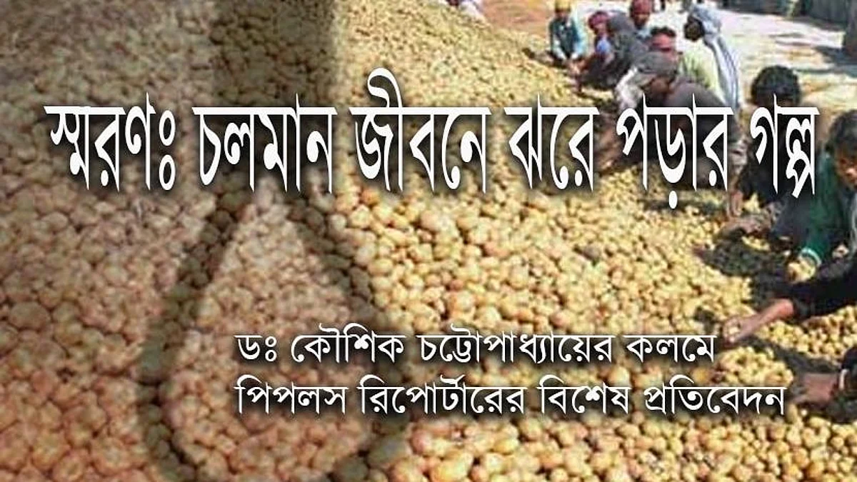 স্মরণ: চলমান জীবনে ঝরে পড়ার গল্প