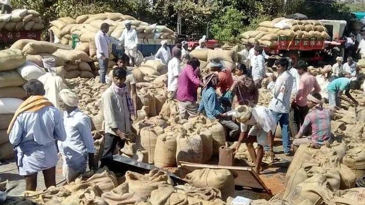 Survey: ন্যূনতম সহায়ক মূল্যের (MSP) আইনের পক্ষে মত অধিকাংশের - সমীক্ষা