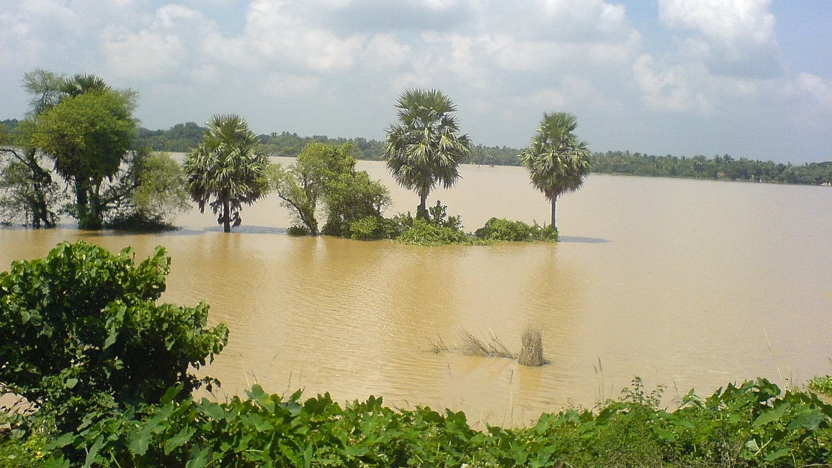 ছবি প্রতীকী