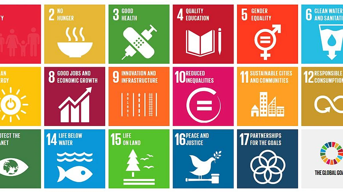 Sustainable Development Goals 2030: দু'ধাপ নেমে ১১৭ তম স্থান ভারতের