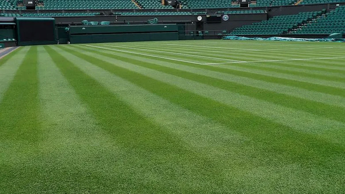 Wimbledon: দুই ম্যাচে গড়াপেটার অভিযোগ - চলছে তদন্ত