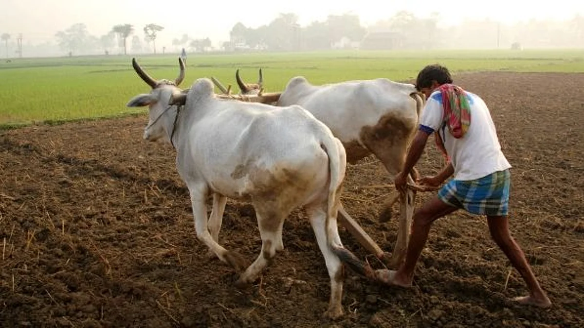 গ্রামীণ ভারতে ৭০ শতাংশেরও বেশি কৃষক পরিবারের কাছে মাত্র এক হেক্টর বা তারও কম জমি - রিপোর্ট
