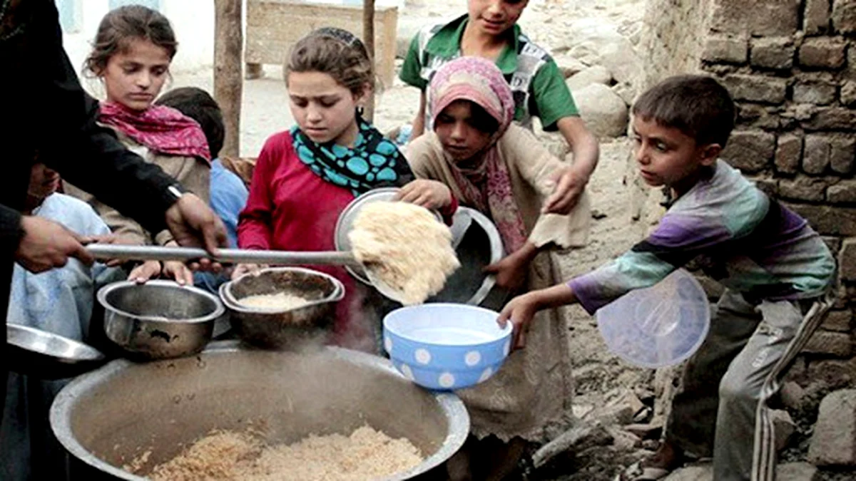 Afghanistan: নভেম্বর মাস থেকেই চরম খাদ্য সংকটে পড়তে চলেছেন ২২.৮ মিলিয়ন মানুষ - রিপোর্ট