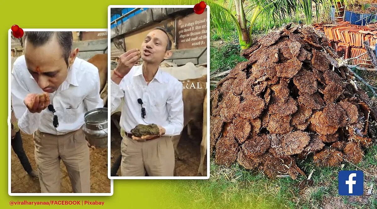 উপকারিতা বোঝাতে ক্যামেরার সামনে গোবর খেলেন হরিয়ানার ডাক্তার, ভিডিও ভাইরাল সোশ্যাল মিডিয়ায়