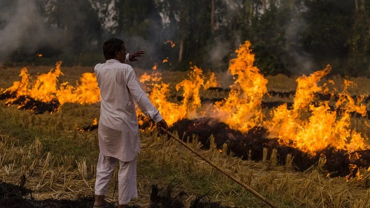 Air Pollution: বায়ুদূষণের জন্য কৃষকদের দায়ী করা ফ্যাশন হয়ে গেছে: সরকারকে ধমক সুপ্রিম কোর্টের