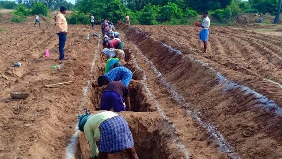 MGNREGA: ৮ কোটি শ্রমিকের মজুরি বকেয়া, শীর্ষে পশ্চিমবঙ্গ সহ পাঁচ রাজ্য