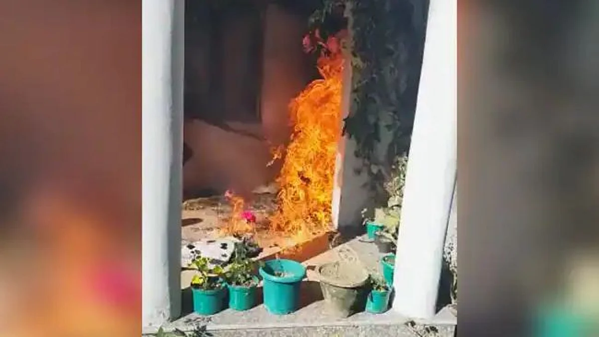 বইতে উগ্র হিন্দুত্ববাদের সমালোচনা - কংগ্রেস নেতা সালমন খুরশিদের বাড়িতে আগুন ধরিয়ে দেওয়ার অভিযোগ