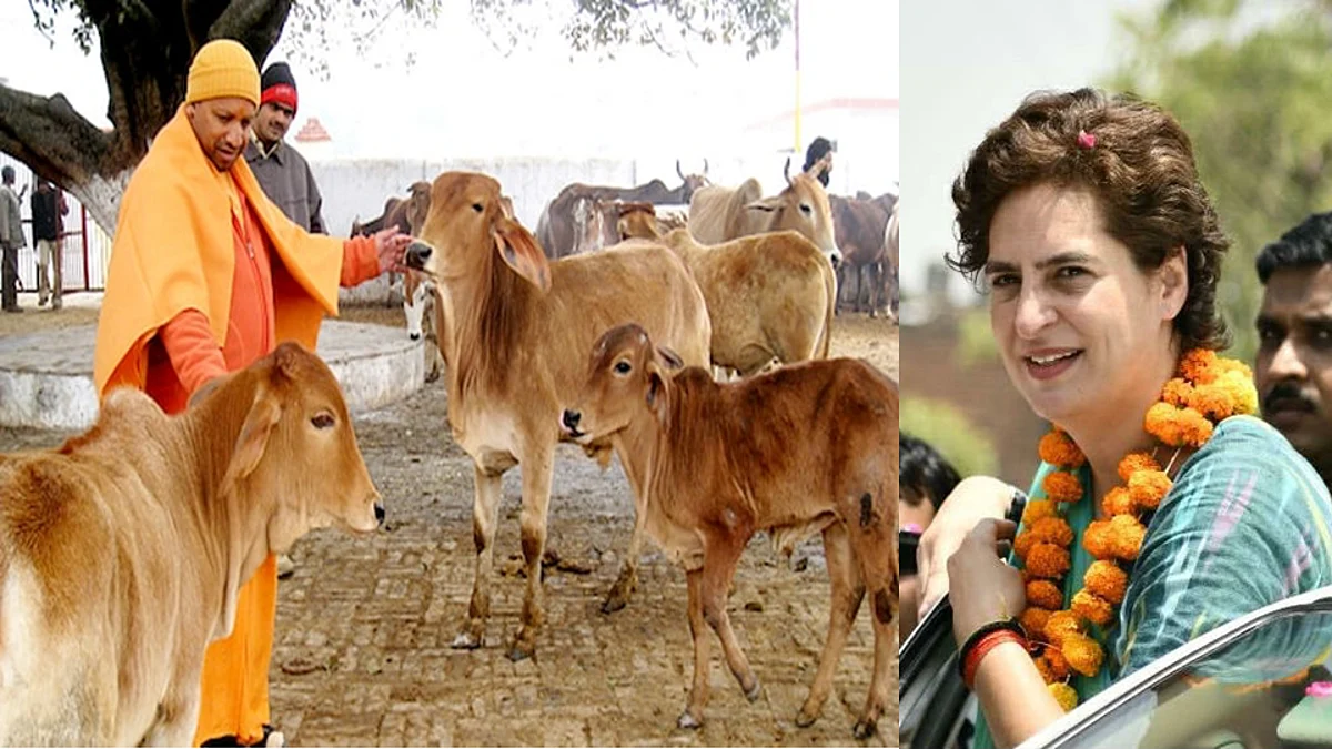 Uttar Pradesh: গোশালার 'করুণ' অবস্থা নিয়ে যোগী সরকারকে আক্রমণ প্রিয়াঙ্কা গান্ধীর