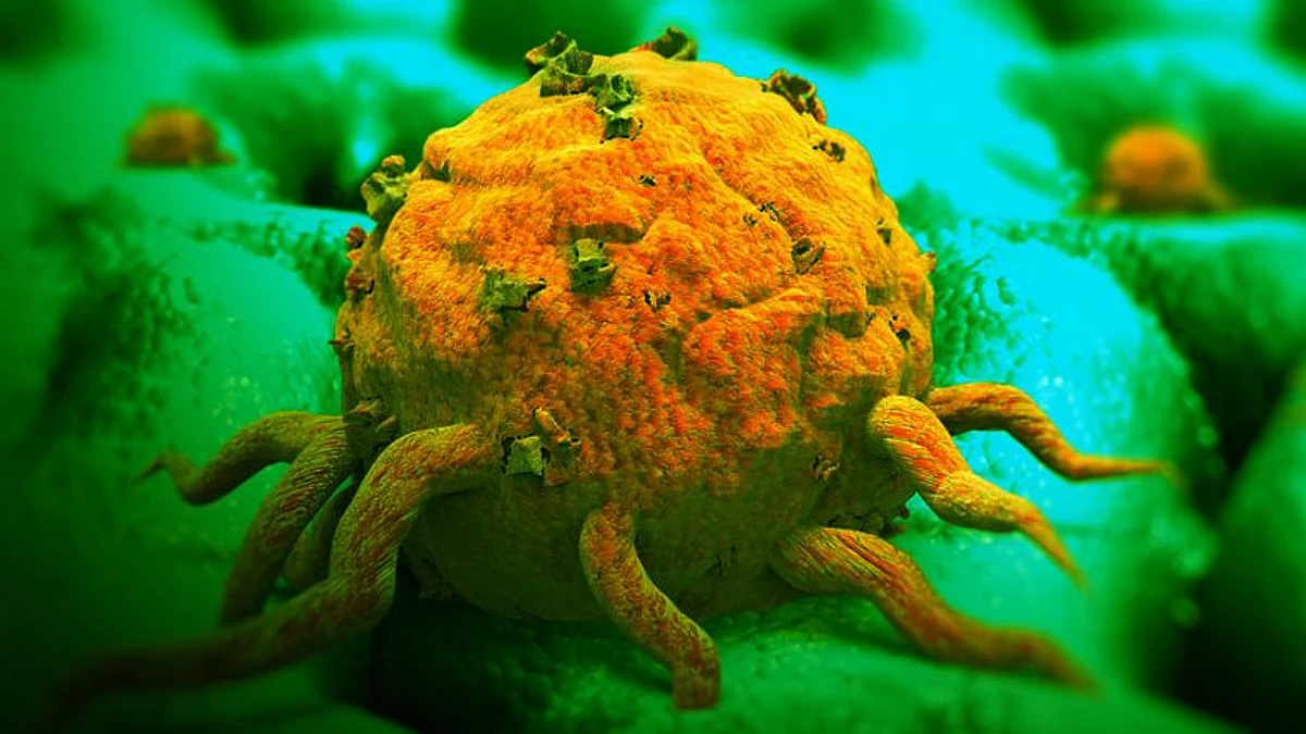 National Cancer Awareness Day: ভারতে ক্যান্সারের সংখ্যা ক্রমশ বাড়ছে কেন?