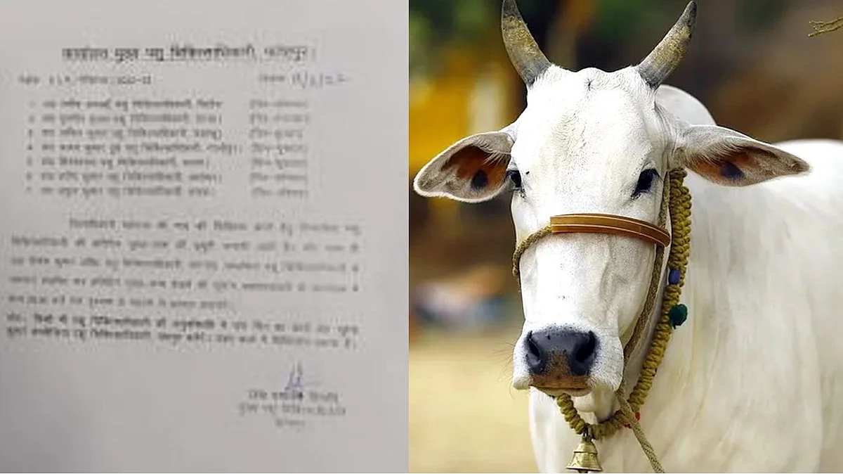 Uttar Pradesh: জেলাশাসকের অসুস্থ গোরুর জন্য ৬ পশু চিকিৎসক - CVO-র নির্দেশ ঘিরে চাঞ্চল্য