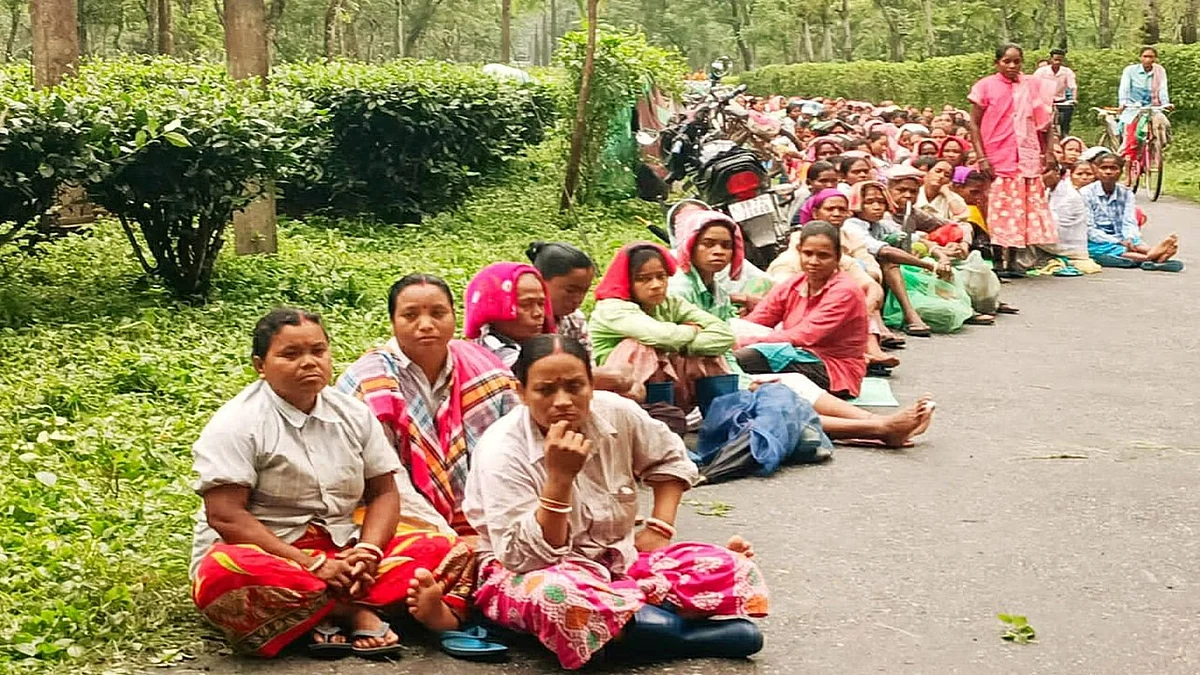 'মুখ্যমন্ত্রী মাত্র ৩০ টাকা কী করে ঘোষণা করলেন?' - দাবি না মানলে ধর্মঘটের হুঁশিয়ারি চা শ্রমিকদের
