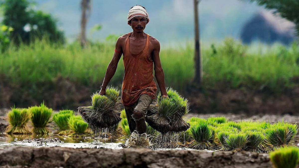 ছবি - প্রতীকী