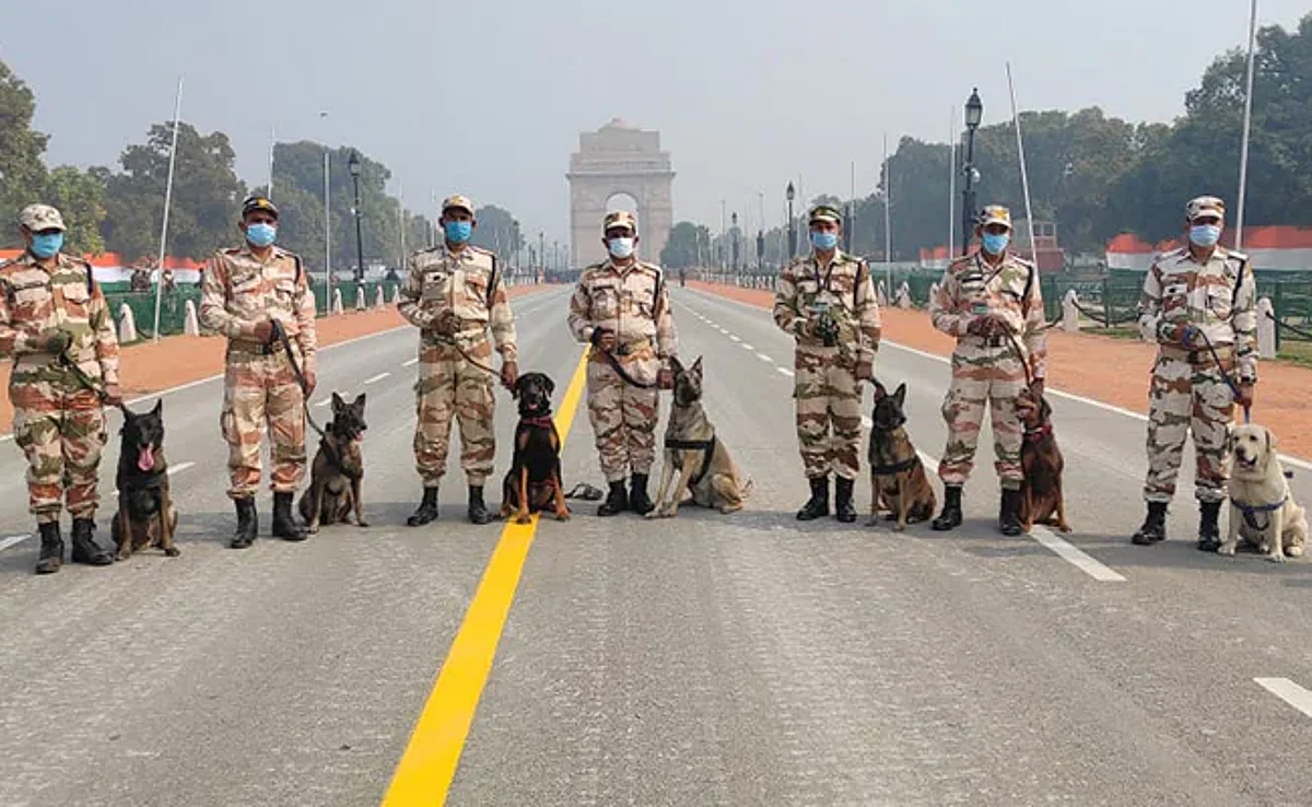 70 dogs to be trained as part of first national canine pool | REPRESENTATIVE